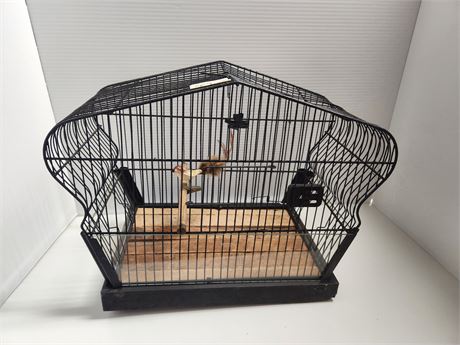 Bird Cage