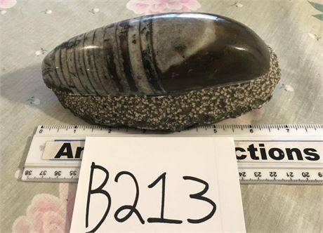 Fossil (#2)