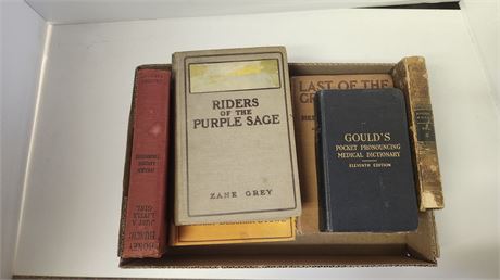 Uncle Tom's Cabin & Riders Of Purple Sage & Honey Bunch & Other Vintage Books