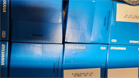 Slyvania Capsylite Bulbs