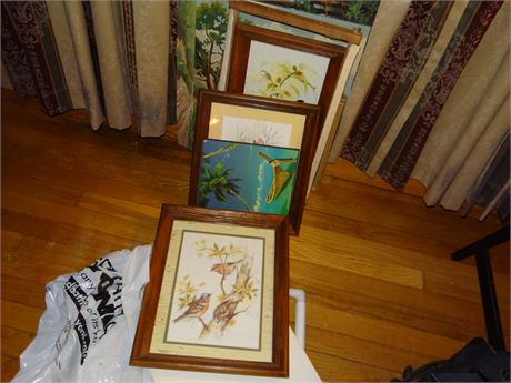 Frames