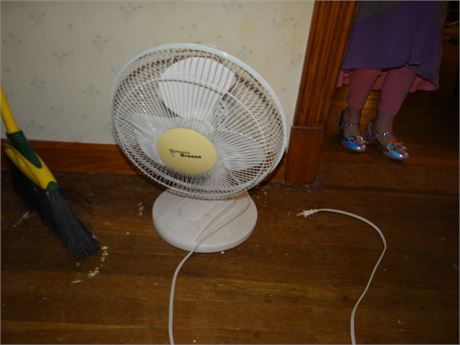 Fan
