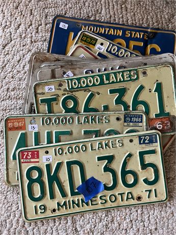 License Plate Lot