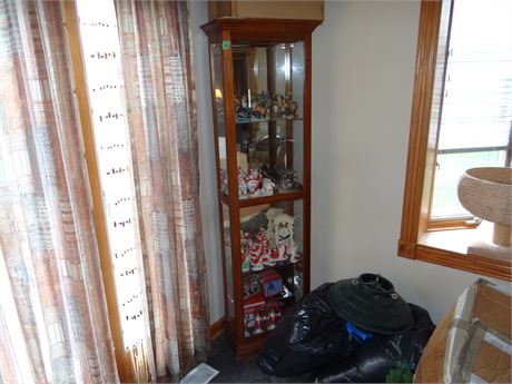 Lighted Curio
