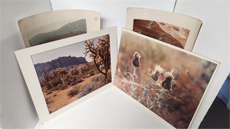 Lot Of Various Pictures