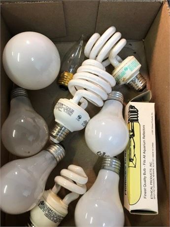 Light Bulbs
