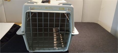 Small Pet Taxi