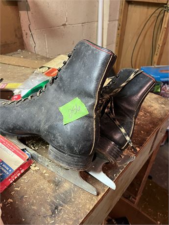 Ice Skates