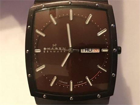 Skagen Denmark Titanium Watch