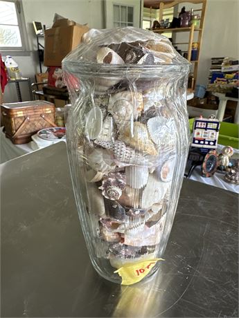 jar of miscellaneous shells