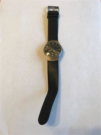 Skagen Denmark Titanium Watch