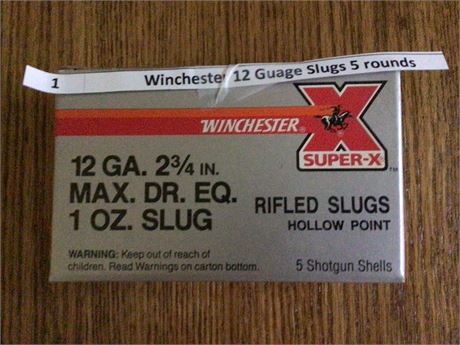 Remington 12 gauge slugs 5 rounds