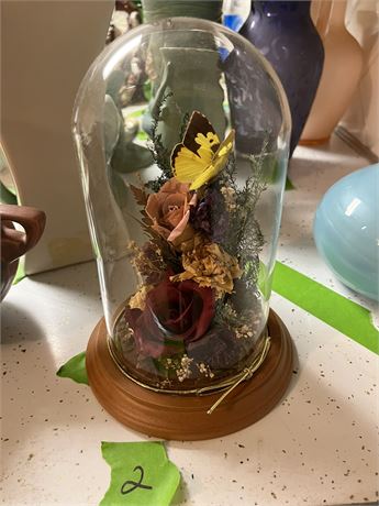 Natural Expressions Freeze Dried Flowers