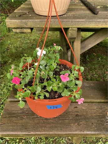 Plastic Rust Color Burnt Orange Flowering Hanging Basket - FLOWERS INCLUDED