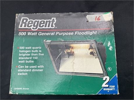 Regent 500 Watt General Purpose Floodlight