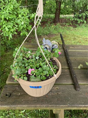 Light Brown Plastic Flowering Hanging Basket - FLOWERS INCLUDED