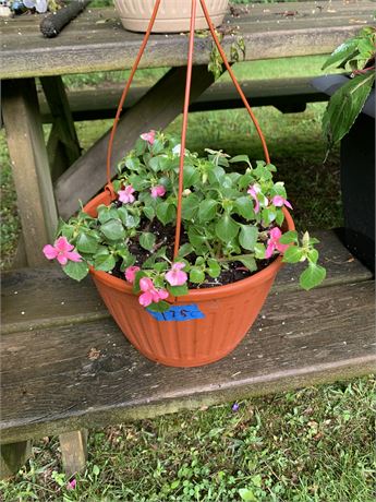 Plastic Rust Color Burnt Orange Flowering Hanging Basket - FLOWERS INCLUDED