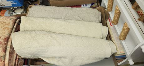 2 Large Towels