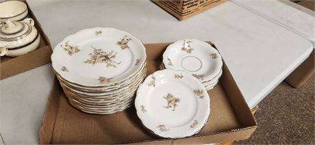 Johann Haviland China