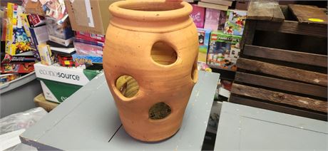 Planter for Strawberries or Hens and Chicks
