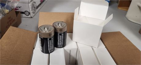 Case of 20 size D Batteries