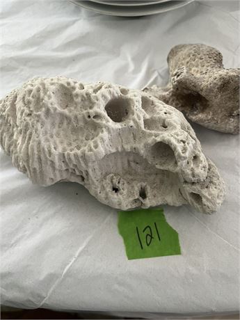Coral