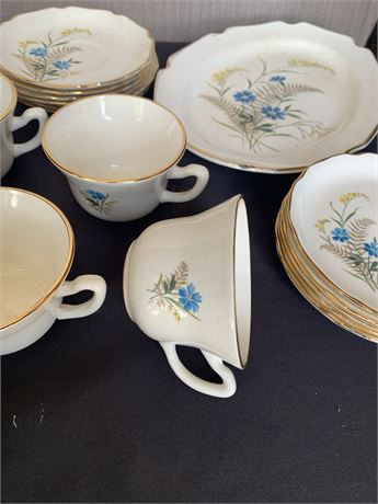 1950s Taylor Smith Versatile Goldenrod Bluebell Vintage China Set MCM