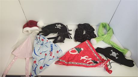 Lot of dog hats and scarfs