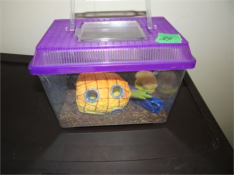 Terrarium