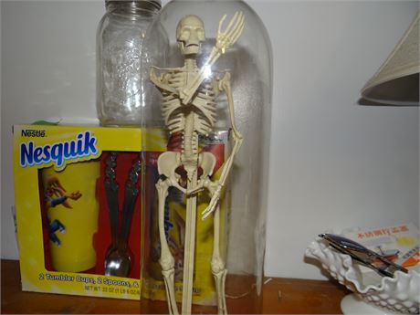 Skeleton Model