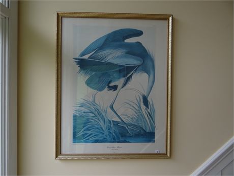 Framed Art