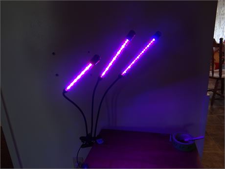 Multicolor Lamp