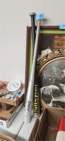 Pair of baseball bats