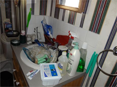 Bathroom Cleanout