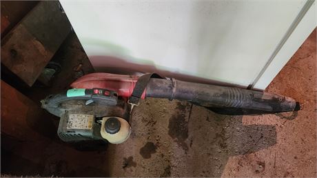 Leaf Blower. NOT TESTED