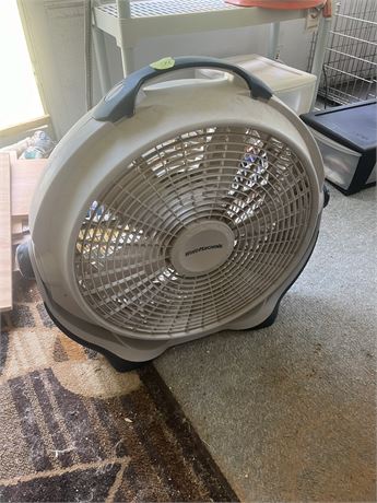 Fan