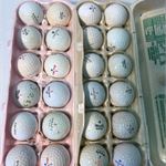 LotImage
