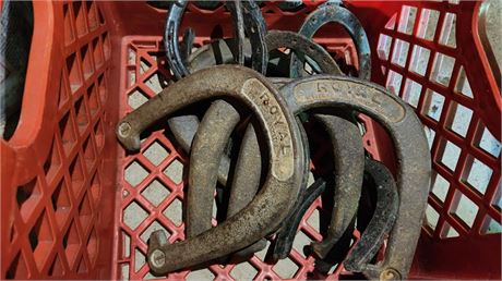 Royal Horse Shoes & Small Horse Shoes
