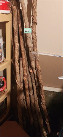 Lot of walking sticks