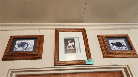Lot of pictures