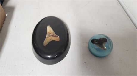 2 Unique Tooth Paper Weights