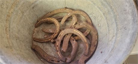 Vintage Bucket & Horse Shoes