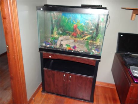 Large Aquarium and Stand