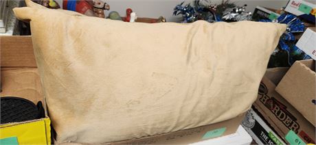 2 Decorative Pillows
