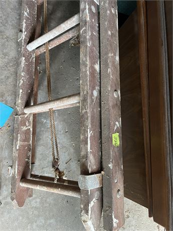 Extra Long Extension Ladder (1)