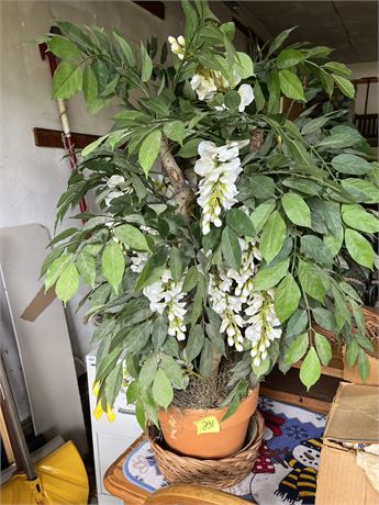 Artificial Plants, Basket