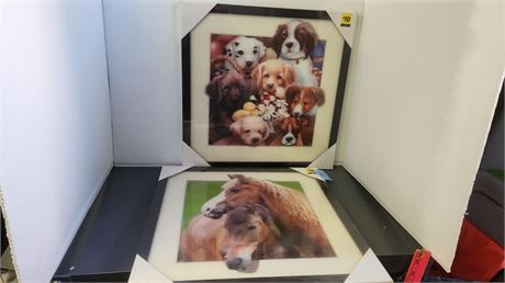 2 Framed 3D Pictures