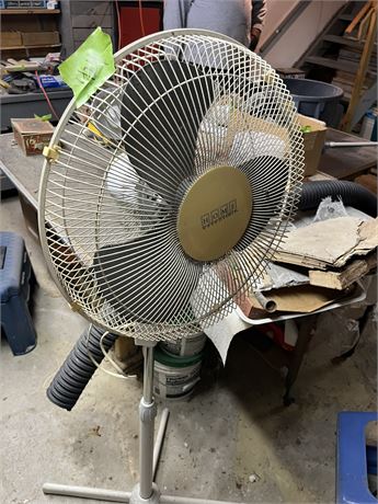 Fan
