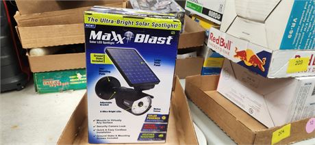 Max Blast Security Light