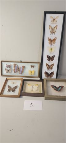 5 butterfly decorations